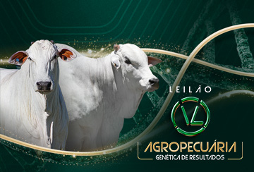 LEILÃO VL AGROPECUÁRIA - GENÉTICA DE RESULTADOS